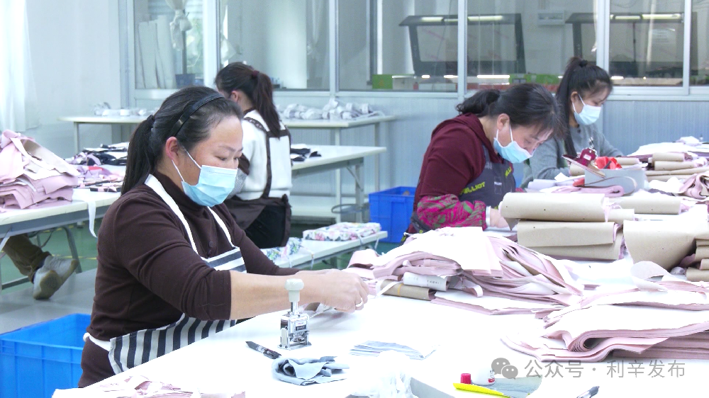 利辛輕紡：突破 “小而散” 藩籬，構(gòu)建百億產(chǎn)業(yè)版圖