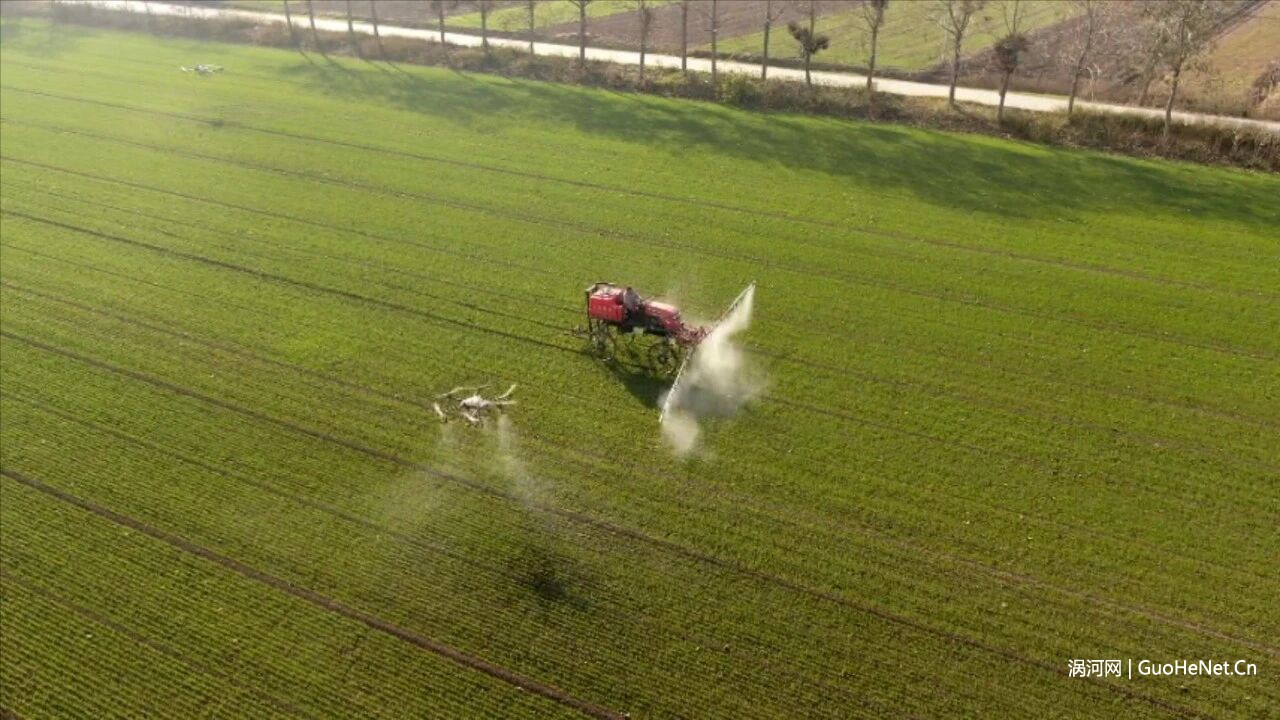 科學(xué)田管為小麥披上“防護(hù)甲”