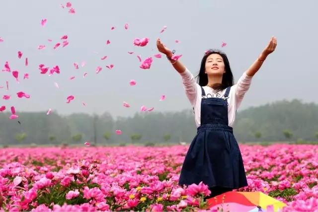 上車！帶你去看“醉美”芍花海，絕對(duì)不虛此行！