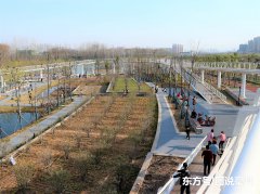 亳州陵西湖公園碧水藍(lán)天，美景如畫，堪稱“江南”風(fēng)光！