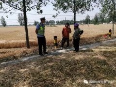 老鄉(xiāng)們，咱渦陽交警溫馨提醒：曬麥別占道